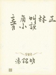 主角叫林正的所有小说