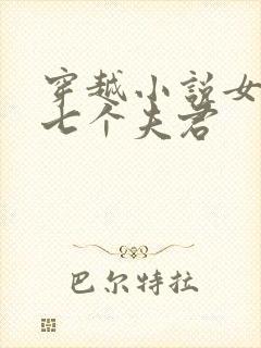 穿越小说女主有七个夫君