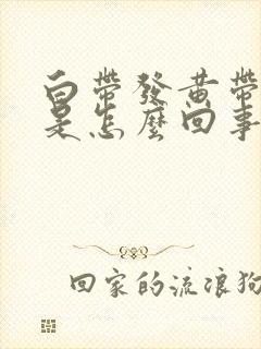 白带发黄带腥味是怎么回事封面