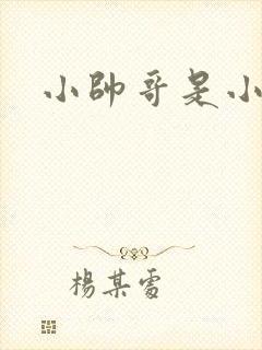 小帅哥是小鲜肉