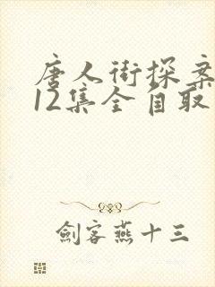 唐人街探案网剧12集全自取