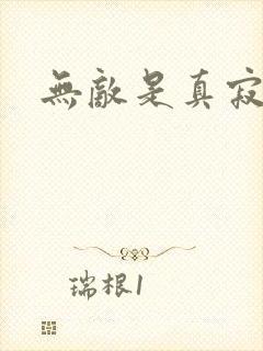 无敌是真寂寞封面