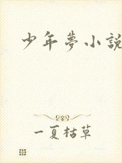 少年梦小说