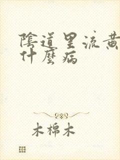 阴道里流黄水是什么病