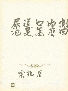 尿道口内侧长水泡是怎么回事