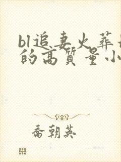 bl追妻火葬场的高质量小说