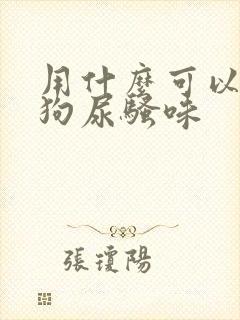 用什么可以去除狗尿骚味