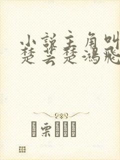 小说主角叫楚风楚芸楚鸿飞的小说