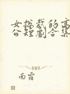 女总裁的高手老公短剧合集