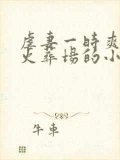 虐妻一时爽追妻火葬场的小说现言