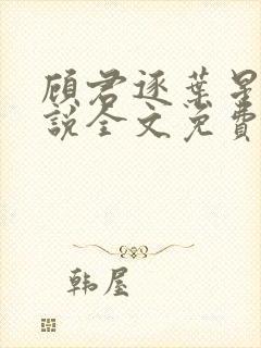 顾君逐叶星北小说全文免费阅读封面