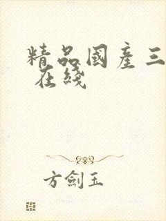 精品国产三级a 在线