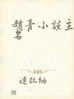 赵青小说主角书名