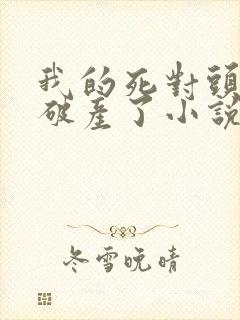 我的死对头终于破产了小说