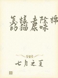 怎样去除棉被上的猫尿味