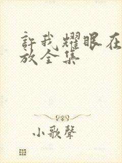 许我耀眼在线播放全集