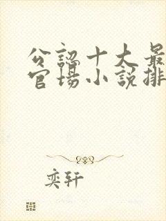 公认十大最好看官场小说排名