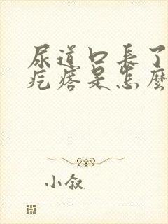 尿道口长了个硬疙瘩是怎么回事