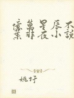 亿万星辰不及你叶非夜小说