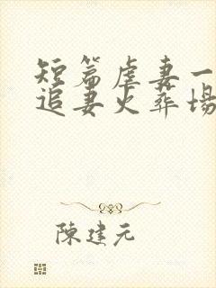 短篇虐妻一时爽追妻火葬场小说