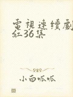 电视连续剧女儿红36集