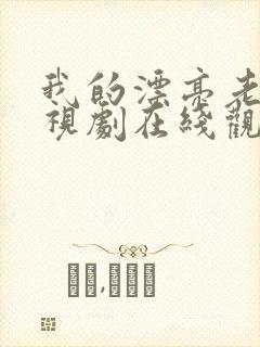 我的漂亮老师电视剧在线观看免费