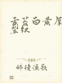 舌苔白黄厚腻有裂纹