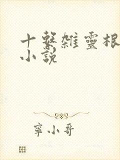 十系杂灵根修仙小说封面