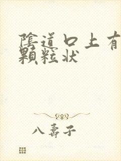 阴道口上有白色颗粒状封面