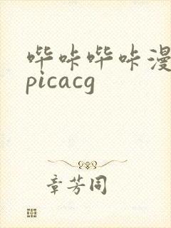 哔咔哔咔漫画 picacg