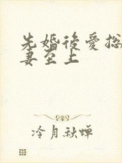 先婚后爱总裁宠妻至上