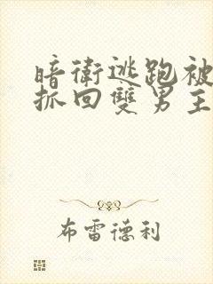 暗卫逃跑被主人抓回双男主