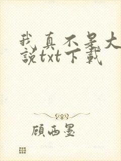 我真不是大佬小说txt下载