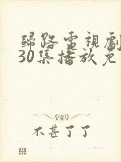 归路电视剧全集30集播放免费观看高清下载