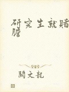 研究生就赌一个胆封面