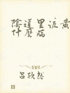 阴道里流黄水是什么病