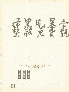 扫黑风暴全集完整版免费观看