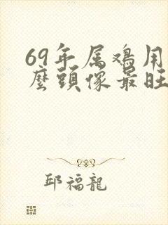 69年属鸡用什么头像最旺财封面