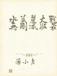 水菜丽大战黑人无删减版最新章节内