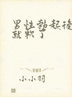 男性勃起后不久就软了