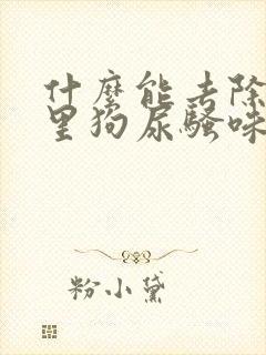 什么能去除房间里狗尿骚味