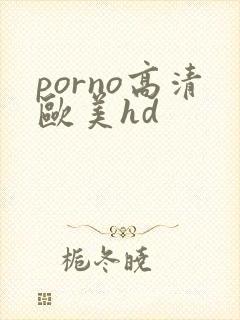 porno高清欧美hd