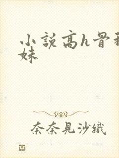 小说高h骨科兄妹