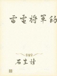 雷电将军的惩罚封面