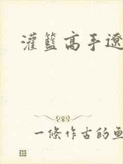 灌篮高手辽艺版