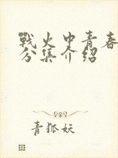 战火中青春剧情分集介绍封面