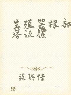 生殖器根部长疙瘩流脓