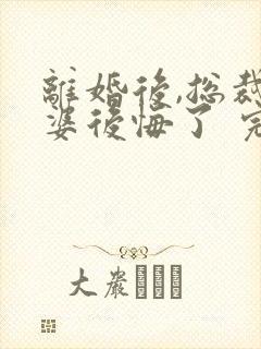 离婚后,总裁老婆后悔了 完结版