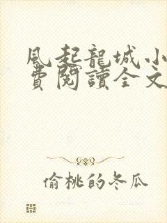 风起龙城小说免费阅读全文
