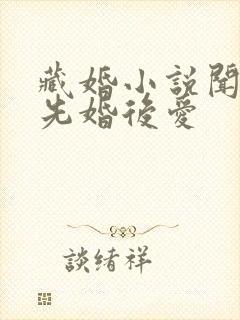 藏婚小说闻落叶先婚后爱